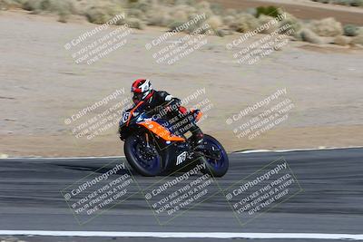 media/Feb-04-2024-SoCal Trackdays (Sun) [[91d6515b1d]]/4-Bowl Backside (11am)/